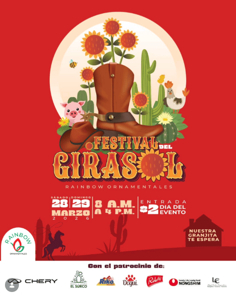 Festival Del Girasol🌻🤠