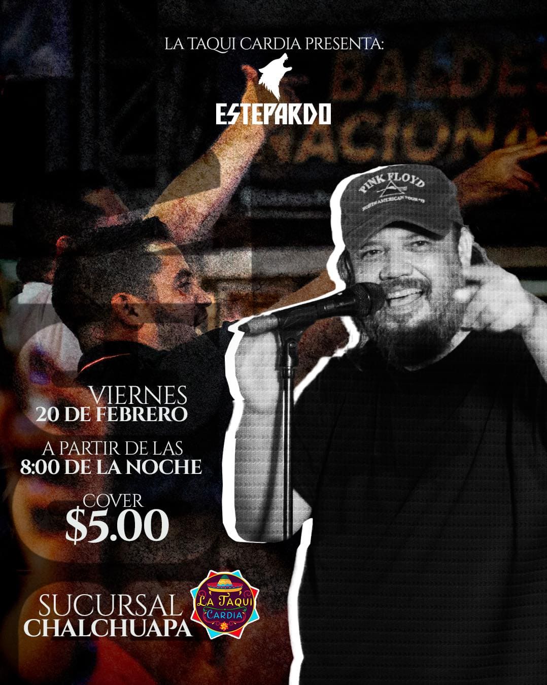 Música en vivo con ESTEPARDO ✨🎤